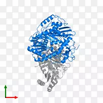 平面设计人类行为有机体设计-空若网 平面设计人类行为有机体设计-空若网