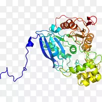 线点生物剪贴画线-空若网 线点生物剪贴画线-空若网