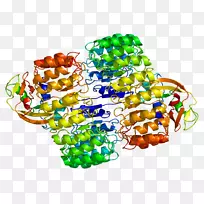 珠宝首饰-空若网 珠宝首饰-空若网