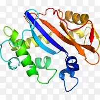 人体珠宝线剪贴画线-空若网 人体珠宝线剪贴画线-空若网