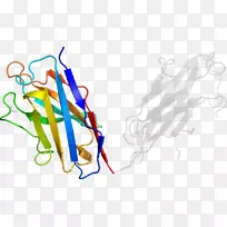 �ߵ������-��-������