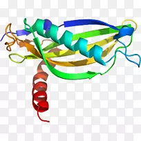 服装配饰线时尚剪贴画线-空若网 服装配饰线时尚剪贴画线-空若网