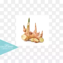 �����߲�����-����-������