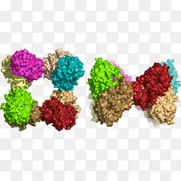 水果-空若网 水果-空若网