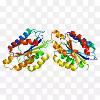 �����鱦�߼�������-������