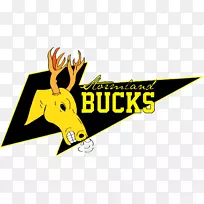 标志字体设计-空若网 标志字体设计-空若网