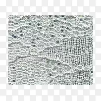 ��������-������