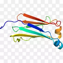 �ߵ������-��-������