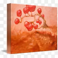 静物桃花水彩-空若网 静物桃花水彩-空若网