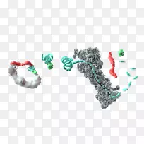 �����鱦����-�鱦-������