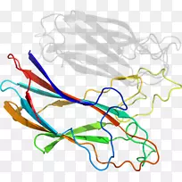 �ߵ������������-������