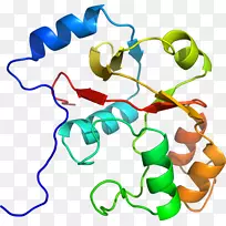 人体珠宝系列有机体剪贴画-珠宝-空若网 人体珠宝系列有机体剪贴画-珠宝-空若网
