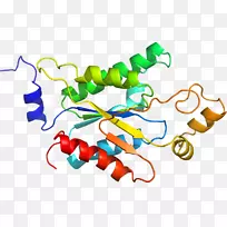 线点生物剪贴画线-空若网 线点生物剪贴画线-空若网