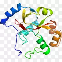 �����߶����������-������