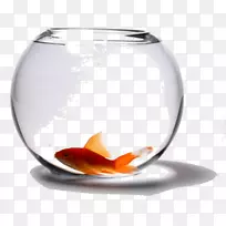 �����;���.����ֽ-������