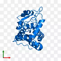 �ߵ������-��-������