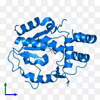 线点剪贴画-线-空若网 线点剪贴画-线-空若网