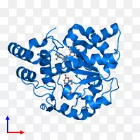 人体行为有机体剪贴画设计-空若网 人体行为有机体剪贴画设计-空若网