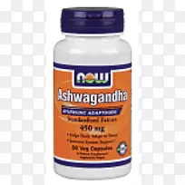 ���ϲ�������׸��Ľ���Ƭ������Ƭ-������