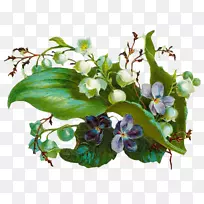 花卉设计郁金香紫罗兰-复古花卉植物-空若网 花卉设计郁金香紫罗兰-复古花卉植物-空若网