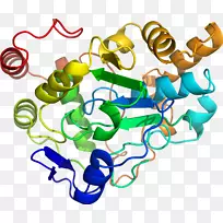 人体珠宝有机体线条剪贴画.珠宝-空若网 人体珠宝有机体线条剪贴画.珠宝-空若网