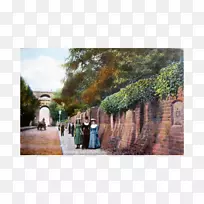 »Ê÷»-¿ÕÈôÍø »Ê÷»-¿ÕÈôÍø