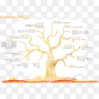 水树图品牌-水-空若网 水树图品牌-水-空若网