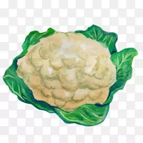 甘蓝菜叶蔬菜-卷心菜-空若网 甘蓝菜叶蔬菜-卷心菜-空若网
