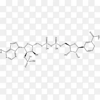服装配饰三角白色时尚-空若网 服装配饰三角白色时尚-空若网