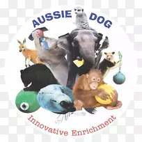 行为丰富动物澳大利亚牧羊犬饲养员-动物园-空若网 行为丰富动物澳大利亚牧羊犬饲养员-动物园-空若网