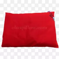 靠垫,枕头,天鹅绒长方形-卡康Hijau-空若网 靠垫,枕头,天鹅绒长方形-卡康Hijau-空若网