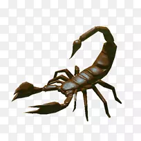 Ы×Ó°£¼°ÍºðÕ·ç¾°¹êɳĮЫ×Ó-¿ÕÈôÍø Ы×Ó°£¼°ÍºðÕ·ç¾°¹êɳĮЫ×Ó-¿ÕÈôÍø