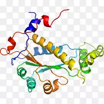 线点生物剪贴画线-空若网 线点生物剪贴画线-空若网