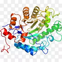 人体珠宝有机体线条剪贴画.珠宝-空若网 人体珠宝有机体线条剪贴画.珠宝-空若网