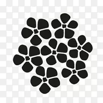 桃叶绣球-空若网 桃叶绣球-空若网