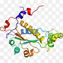 人体首饰有机体线剪贴画线-空若网 人体首饰有机体线剪贴画线-空若网