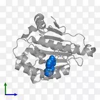 车身首饰.设计-空若网 车身首饰.设计-空若网
