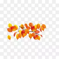 秋夏日间剪贴画-叶-空若网 秋夏日间剪贴画-叶-空若网