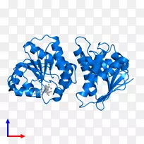 有机体线夹艺术设计-空若网 有机体线夹艺术设计-空若网