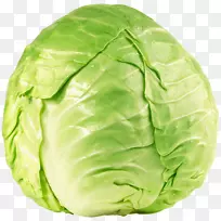 沙瓦甘蓝科蔬菜十字花科蔬菜春菜-卷心菜-空若网 沙瓦甘蓝科蔬菜十字花科蔬菜春菜-卷心菜-空若网