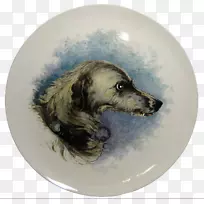 意大利灰狗运动组织“鼻子-爱尔兰狼犬”-空若网 意大利灰狗运动组织“鼻子-爱尔兰狼犬”-空若网