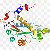 人体首饰有机体线剪贴画线-空若网 人体首饰有机体线剪贴画线-空若网