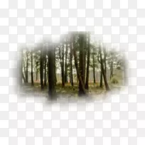 桌面壁纸显示分辨率高清视频多显示器高清电视-空若网 桌面壁纸显示分辨率高清视频多显示器高清电视-空若网