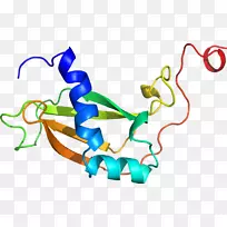 ����ƽ����Ƶ��������-������