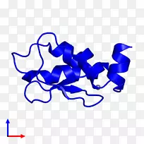 线点生物剪贴画线-空若网 线点生物剪贴画线-空若网