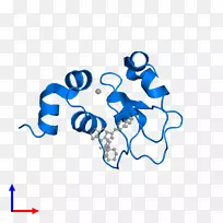 线点生物剪贴画线-空若网 线点生物剪贴画线-空若网