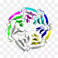 平面设计有机体剪贴画设计-空若网 平面设计有机体剪贴画设计-空若网