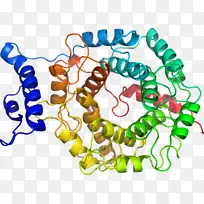 艺术身体珠宝有机体剪贴艺术珠宝首饰-空若网 艺术身体珠宝有机体剪贴艺术珠宝首饰-空若网