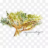 松科植物茎草松科水彩柠檬-空若网 松科植物茎草松科水彩柠檬-空若网