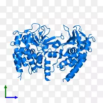 生物标志线剪贴画线-空若网 生物标志线剪贴画线-空若网